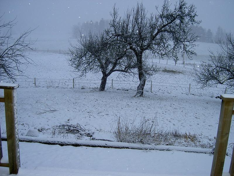 bakslag i vdret snstorm 18 mars-07