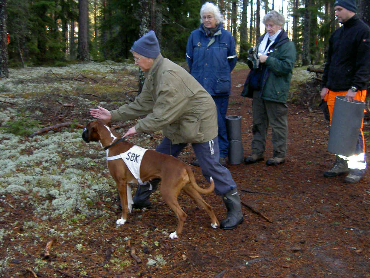 Jolly sktrning 10 dec.2006