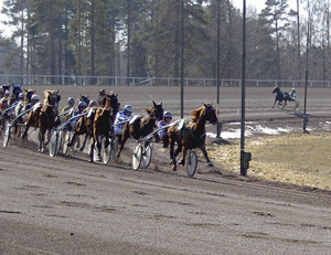 Tapiol i ledningen